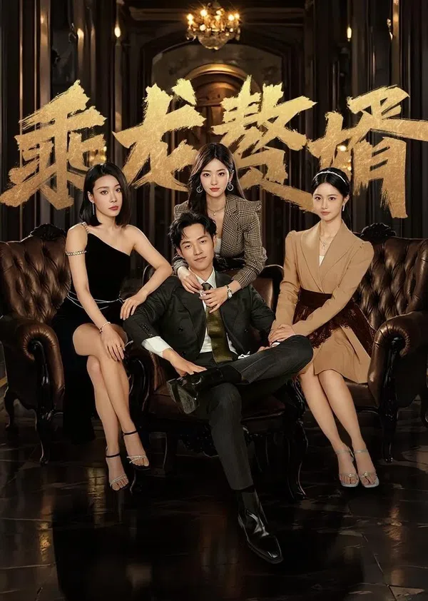 Xem Phim Chàng Rể Tài Ba Vietsub HD Online